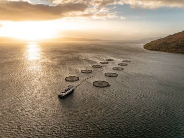 Bir Su Kültürü Deniz Çiftliğinin Günbatımı Hava Görüntüsü