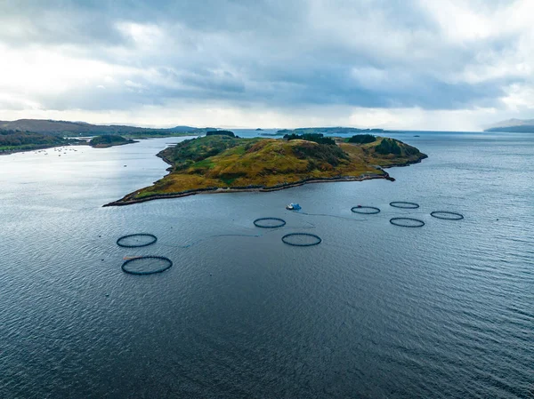 Balıkçılık Çiftliği Deniz Ağları Pazar için Balık Tutardı