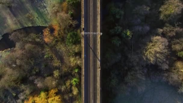Fast Commuter Train Passing Viaduct Bird Eye View — ストック動画