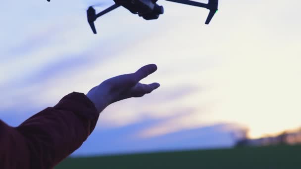 Aerial Drone Lands Palm Hand — ストック動画