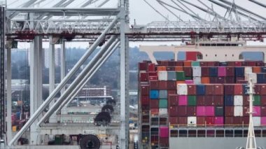 Southampton Limanı - Ocak 2023 - Limanda Konteyner Yükü Boşaltılıyor