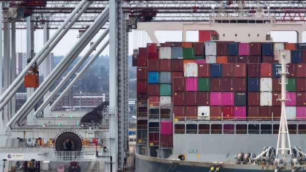 Port Southampton January 2023 Container Ship Loading Unloading Port — Video