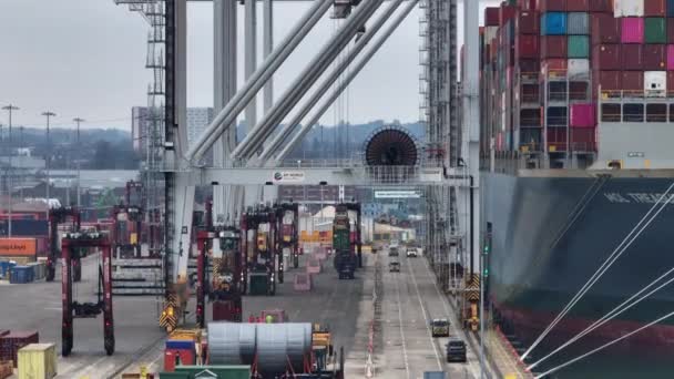 Port Southampton January 2023 Container Ship Loading Unloading Port — Video Stock