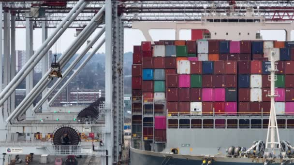 Port Southampton January 2023 Container Ship Loading Unloading Port — Stock video