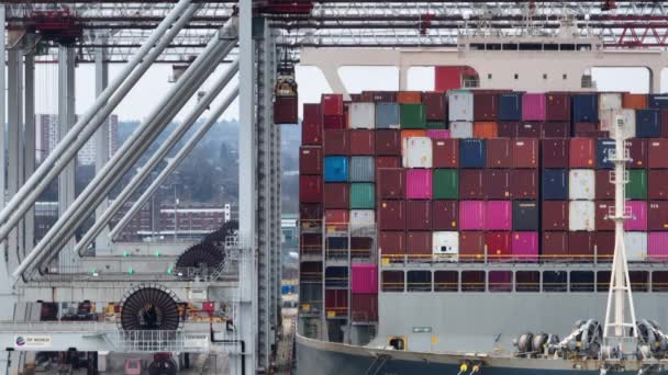 Port Southampton January 2023 Container Ship Loading Unloading Port — Vídeo de stock