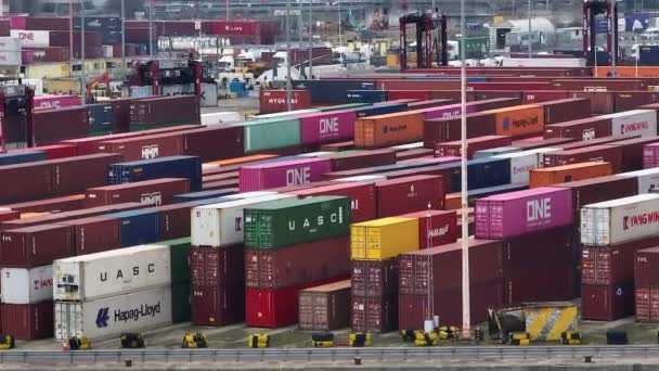 Λιμάνι Του Σαουθάμπτον Ιανουάριος 2023 Περιμένουν Μεταφορά Εμπορευματοκιβωτίων Στις Αποβάθρες — Αρχείο Βίντεο