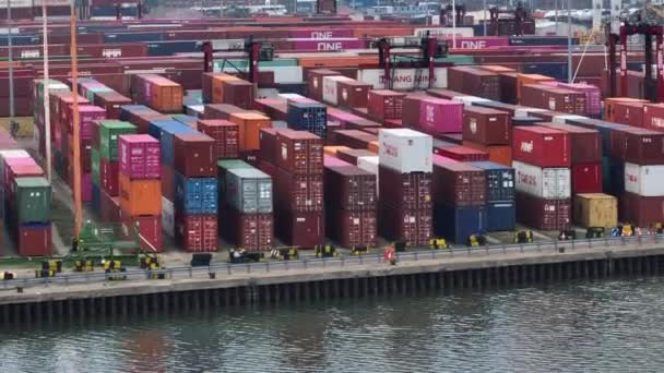 Port Southampton January 2023 Containers Awaiting Transport Docks — Stock Video