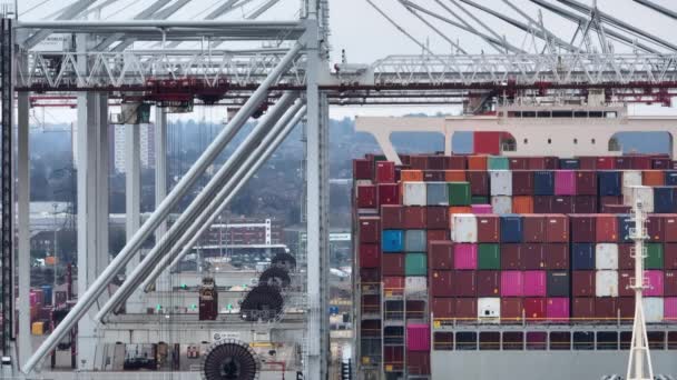 Southamptons Hamn Januari 2023 Lastning Containerfartyg Lossning Hamn — Stockvideo