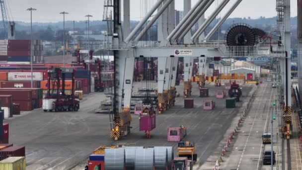 サウサンプトン港 2023年1月 貨物船からコンテナを扱うドック — ストック動画