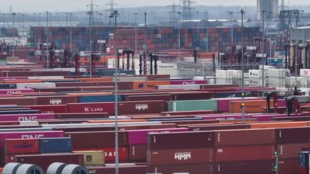 Port Southampton January 2023 Containers Awaiting Transport Docks — Stok video