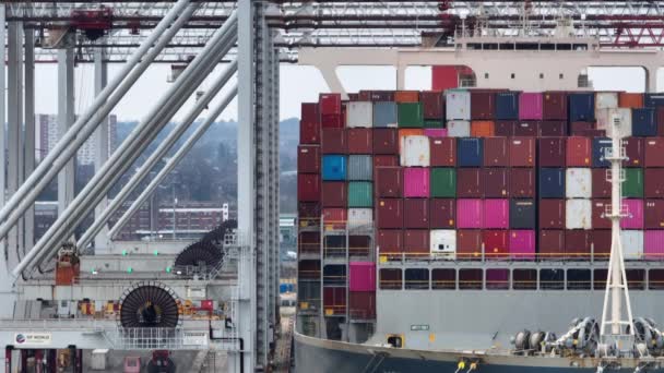 Port Southampton January 2023 Container Ship Loading Unloading Port — Stok video