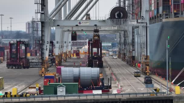 Porto Southampton Gennaio 2023 Porticcioli Movimentazione Container Una Nave Carico — Video Stock