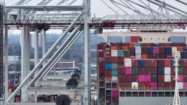 Port Southampton January 2023 Container Ship Loading Unloading Port — Vídeo de Stock