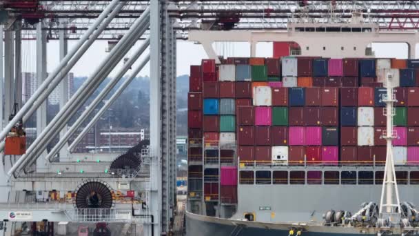 南安普敦港 2023年1月 集装箱船在港口卸货 — 图库视频影像