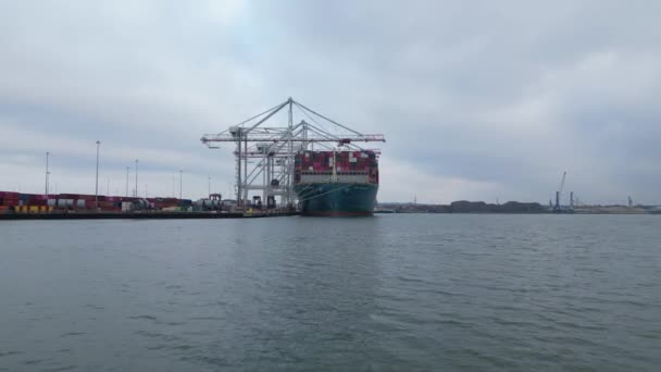 Hafen Southampton Januar 2023 Containerschiff Wird Hafen Entladen — Stockvideo