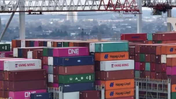 Port Southampton Leden 2023 Vykládka Kontejnerových Lodí Přístavu — Stock video