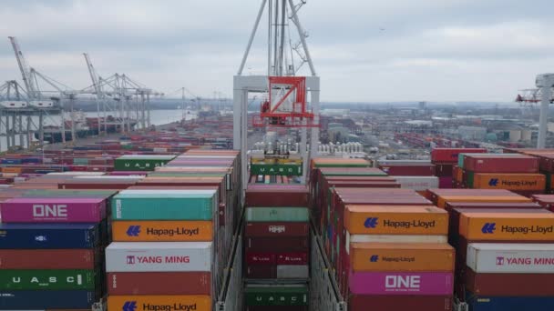 Southamptons Hamn Januari 2023 Containrar Som Lastar Från Ett Fartyg — Stockvideo