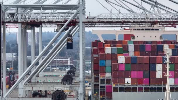 Hafen Von Southampton Januar 2023 Entladung Von Containerschiffen Hafen — Stockvideo