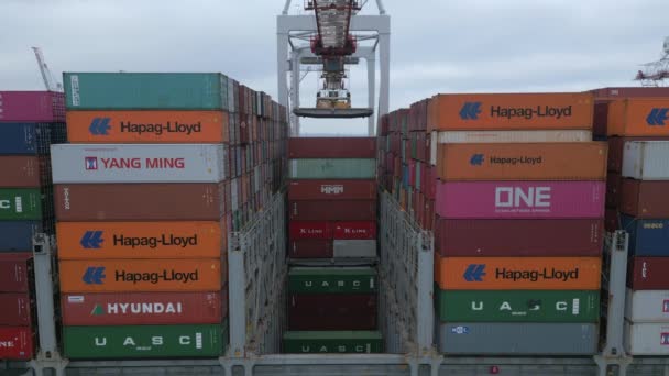 Port Southampton January 2023 Containers Loading Unloading Ship — Stok video