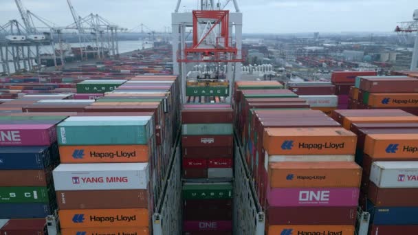 Port Southampton January 2023 Containers Loading Unloading Ship — Stock Video