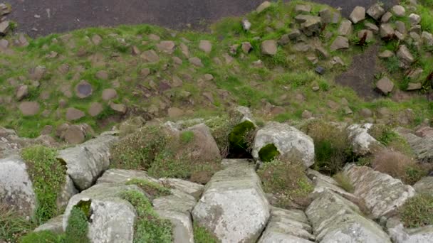 Hexagonal Basalt Rock Formation Giant Causeway Irlandia Utara — Stok Video