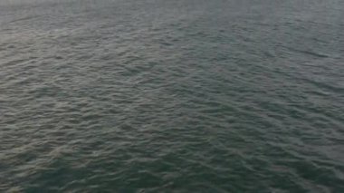 Kuzey İrlanda 'da Dev Geçidi Basalt Kaya oluşumu