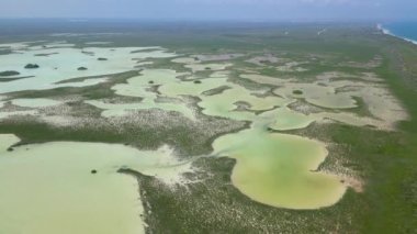 Tulum Ulusal Parkı Havacılık Mangrovları