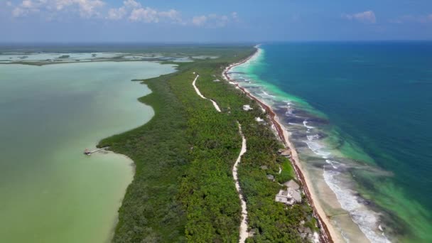 Caribbean Sea Tulum National Park Aerial View — Stock Video