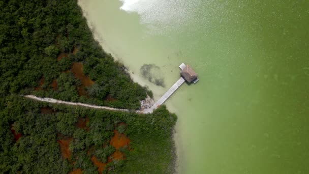 Mangroves Tulum National Park Aerial View — Stock Video