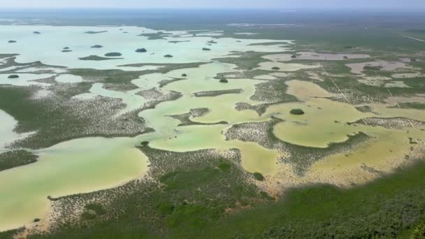 Tulum Nemzeti Park Mangrove Jai Légkörkép — Stock videók