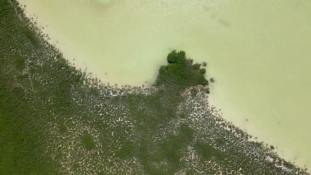 Mangroven Van Tulum National Park Luchtfoto — Stockvideo