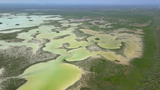 Mangroven Van Tulum National Park Luchtfoto — Stockvideo