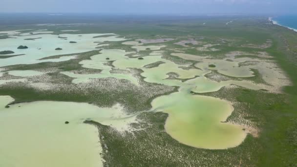 Die Mangroven Des Tulum Nationalparks Aus Der Luft — Stockvideo