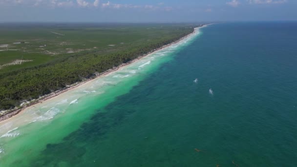 Отруєні Саргасум Морські Водорості Нищать Чудові Пляжі Карибах — стокове відео