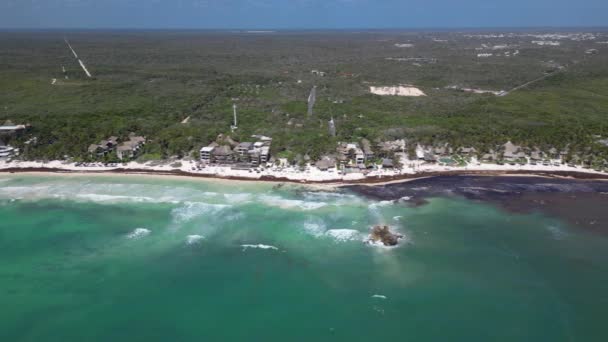 Sargassum Kryzys Wodorostów Morskich Plażami Meksyku Battling Gulfweed Invasion — Wideo stockowe