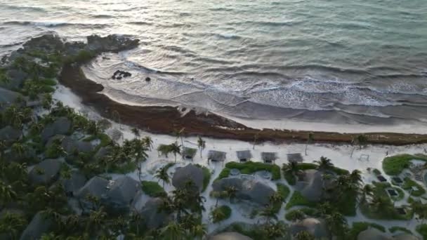 Luchtfoto Van Mexicaans Strand Bedekt Met Sargassum Gulfweed Zeewier — Stockvideo