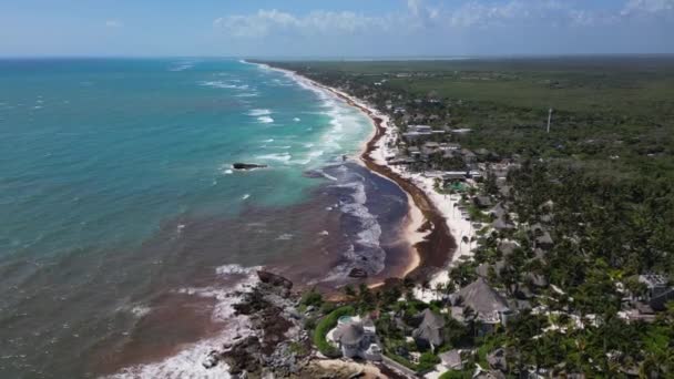 Μεξικάνικα Beach Resorts Αντιμετώπιση Sargassum Gulfweed Στις Παραλίες — Αρχείο Βίντεο