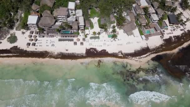 Caribische Stranden Bedekt Met Sargassum Zeewier Uitzicht Vanuit Lucht — Stockvideo