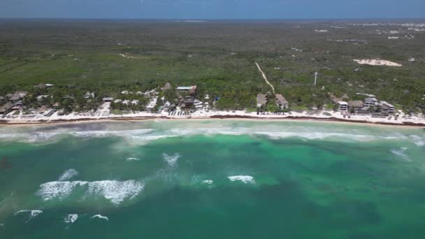 Karibiska Stränder Täckt Sargassum Seaweed Antenn View — Stockvideo
