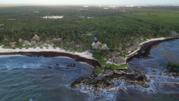카리브 아름다운 해변들을 사르가 해초를 — 비디오