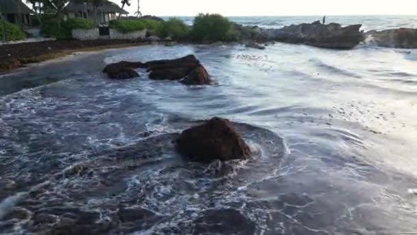 Plage Mexique Couverte Algues Gulfweed Ruiner Les Belles Plages Sable — Video