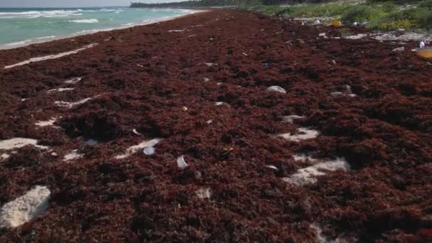 Plastový Odpad Rozmetaný Pláži Způsobené Skládkou Plastů Oceánu — Stock video
