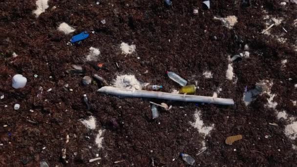 Plastiklerin Okyanusa Atılmasıyla Oluşan Bir Plaja Atılan Plastik Atık — Stok video