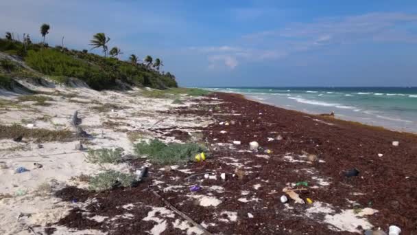 Πλαστική Καλυμμένη Παραλία Προκαλούμενη Από Παράνομη Απόρριψη Αποβλήτων Στον Ωκεανό — Αρχείο Βίντεο