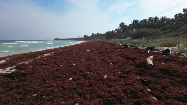 Pláž Posetá Plastem Odpadem Způsobeným Krizí Znečištění — Stock video