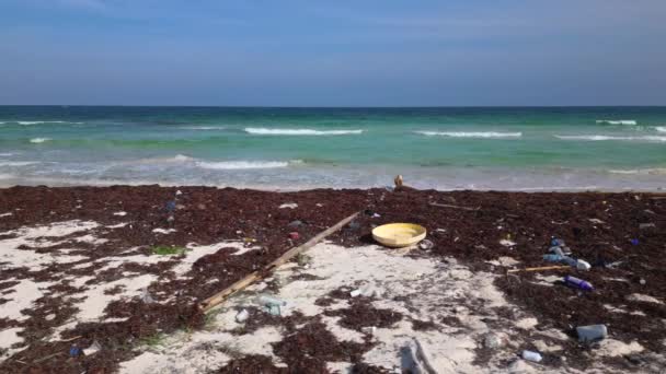 Uma Praia Repleta Plástico Resíduos Causados Pela Crise Poluição — Vídeo de Stock