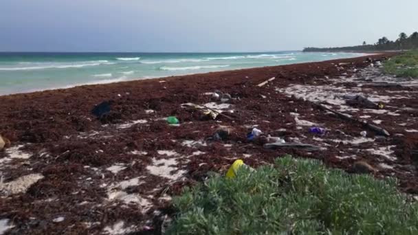 在海洋非法倾倒废物所引致的塑料覆盖泳滩 — 图库视频影像