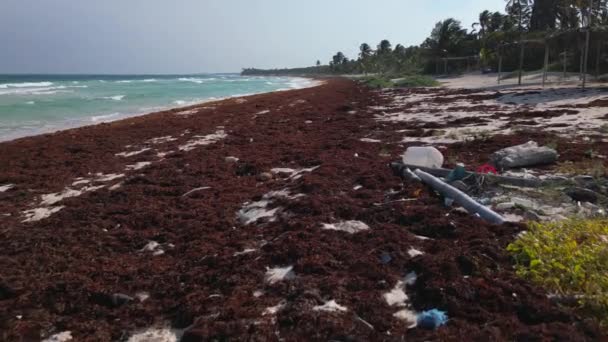 Plastikbedeckter Strand Aufgrund Illegaler Abfallentsorgung Ozean — Stockvideo