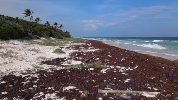 污染危机造成的塑胶及废物堆在沙滩上 — 图库视频影像