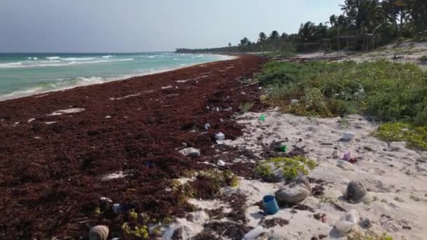 Una Spiaggia Disseminato Plastica Rifiuti Causati Dalla Crisi Dell Inquinamento — Video Stock